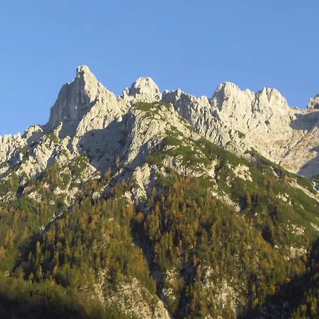 Ferienwohnung Viererspitzblick Apartment Mittenwald
